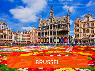 Cadeaubon Ontdek Brussel: privérondleiding voor 2 personen (2u)