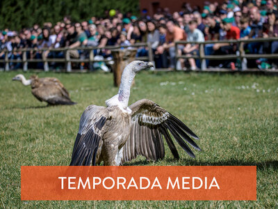 Caja regalo Parque Tierra Rapaz: 2 entradas de adulto y 1 de niño