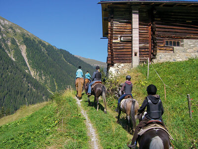 Coffret Balade à cheval panoramique près de Lucerne pour 2 personnes