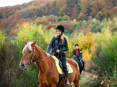 Coffret cadeau Balade à cheval panoramique près de Lucerne pour 2 personnes