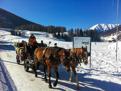 Cavalcata panoramica nell'Entlebuch vicino a Lucerna per 2 persone