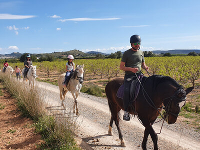 ¡Aventura en familia! Actividades para grupos de hasta 7 personas por España