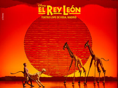 Caja El Rey León - 1 persona