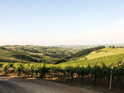 Weekend da sommelier: degustazione di 4 vini con visita in cantina a Pavia