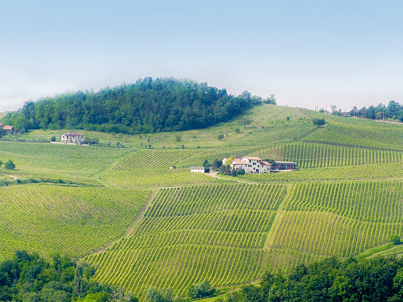 Weekend da sommelier: degustazione di 4 vini con visita in cantina a Pavia