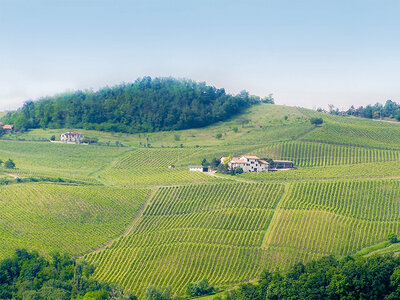 Cofanetto regalo Weekend da sommelier: degustazione di 4 vini con visita in cantina a Pavia