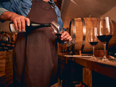 Cofanetto regalo Esperienza in cantina con degustazione di vini e prodotti locali tra le colline di Asti