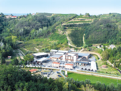 Esperienza in cantina con degustazione di vini e prodotti locali tra le colline di Asti