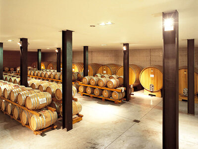 Cofanetto Esperienza in cantina con degustazione di vini e prodotti locali tra le colline di Asti