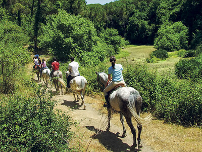 Cofanetto Nel verde della Brianza: 1 passeggiata a cavallo di 1h nei pressi di Como