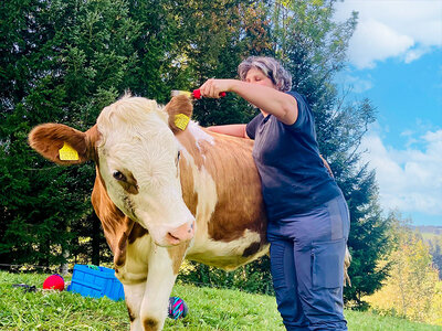 Coffret Moment meuh-morable : des câlins de vache qui font chaud au cœur en Suisse