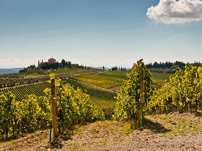 Cofanetto regalo Romantico soggiorno di 2 notti con degustazione di Chianti Classico