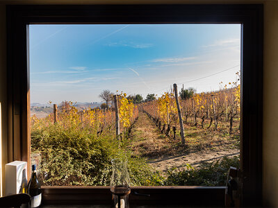 Alla scoperta delle Langhe: 2 notti con visita in cantina e degustazione per 3