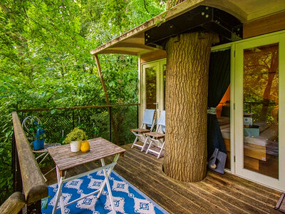 Cadeaubon 2 romantische dagen in een boomhut in Lelystad