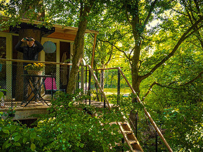 Cadeaubon 3 gezellige dagen met het gezin in een boomhut in Lelystad