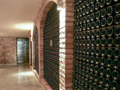 Tour enologico con degustazione di 3 vini per 1 a Brescia e bottiglia omaggio