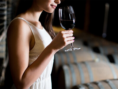 Visita enologica con degustazione di 5 vini a Cuneo e bottiglia di vino tipica del Piemonte