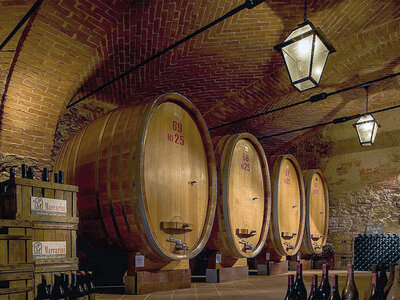 Cofanetto regalo Visita enologica con degustazione di 5 vini a Cuneo e bottiglia di vino tipica del Piemonte