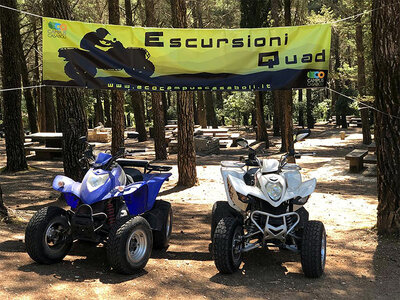 Giro in Quad di 30 minuti a Palermo per 2 persone e menù speciale