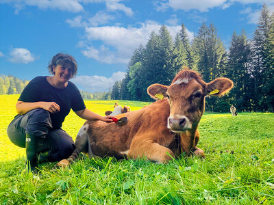 Cofanetto regalo Dolci moo-menti in fattoria con coccole alle mucche e altre attività per 4 persone a Berna