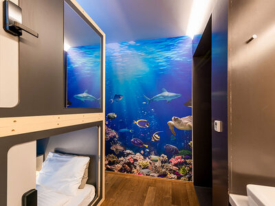 Geschenkbox Schlafen in einer originellen Swiss Capsule™ in Basel für 2 Personen