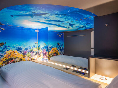 Box Schlafen in einer originellen Swiss Capsule™ in Basel für 2 Personen