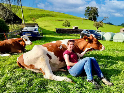 Coffret cadeau Câlinage de vaches pour 4 personnes dans une ferme près de Lucerne