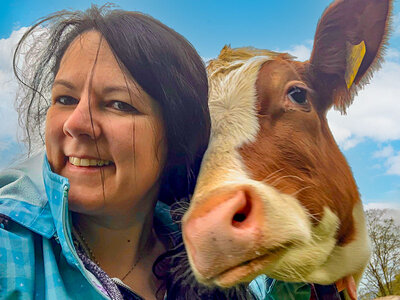 Box Der neue Anti-Stress-Trend! 1 Kuhkuschel-Erlebnis in Luzern für 4 Personen