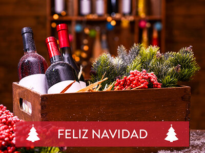 Caja regalo Una Navidad enológica: visita a viñedo y cata de vino para 2 personas