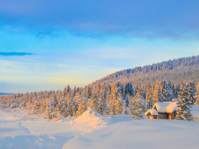 Wintervakantie in Zweden met het noorderlicht en een huskysleetocht