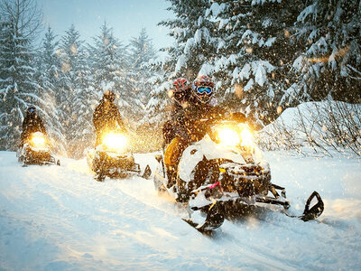 Doos Zweeds Lapland in de winter: noorderlicht en sneeuwscootersafari