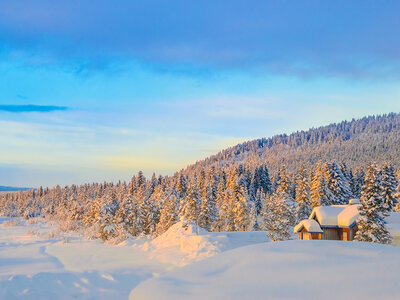 Zweeds Lapland in de winter: noorderlicht en sneeuwscootersafari