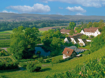 Exquisites Dinner mit Wein für 2 Personen in Ittingen