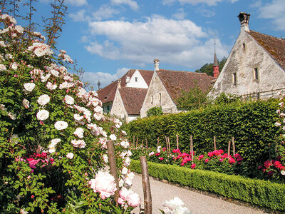 Cofanetto regalo Deliziosa cena con vino incluso a Ittingen