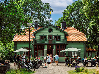 Presentbox Herrängens Gård: lunch på hundvänligt café