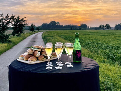 Coffret Vol en montgolfière pour 1 personne au-dessus de Waesmunster avec petit-déjeuner