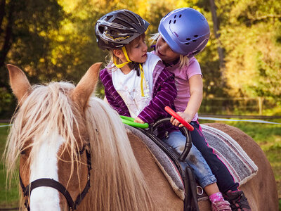 Familienabenteuer beim Ponyreiten auf dem Bauernhof