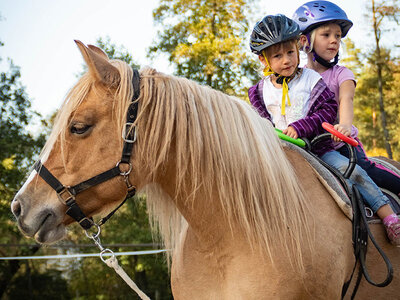 Box Ponyabenteuer und Tierfreundschaft auf dem Bauernhof für eine Familie