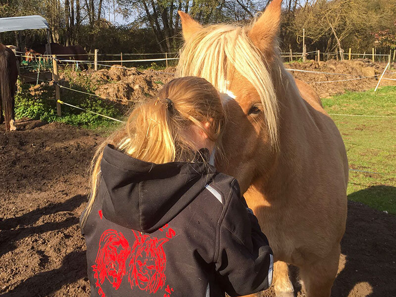 Box Familienabenteuer auf dem Bauernhof: Tiere füttern und Minikutschfahrt