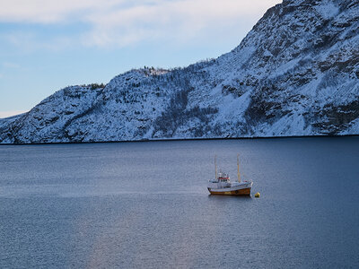 Jagd nach Polarlichtern und Bootstour durch die Fjorde in Norwegen