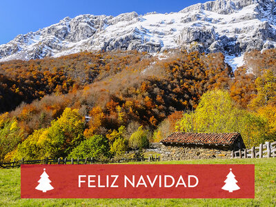 Caja regalo ¡Feliz Navidad, nature lovers!