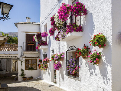 Caja regalo Excursión a la Alpujarra desde Granada con guía, transporte y almuerzo para 2