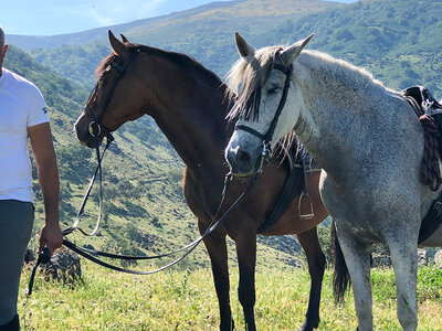 1 noche y ruta a caballo de 1 hora en Complejo Roma, Cáceres