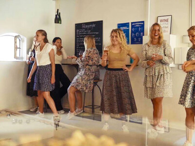 Boks Vin og petanque for 4 i Aarhus