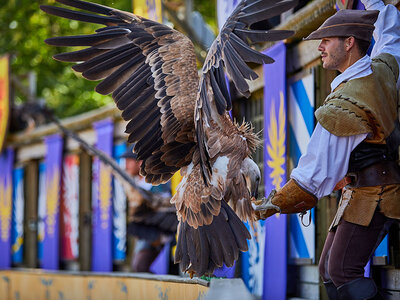 Billet Puy du Fou 2025 - 1 jour pour 1 adulte