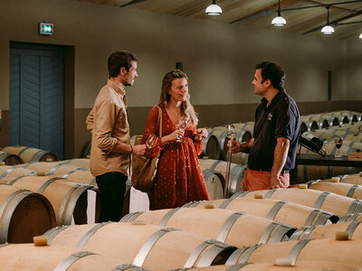 Adoption de parcelles de vignes de 4 domaines bordelais avec visites et livraison de 4 coffrets personnalisés