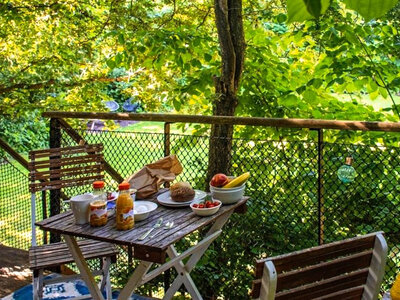 2 jours insolites en cabane dans les arbres près d'Amsterdam