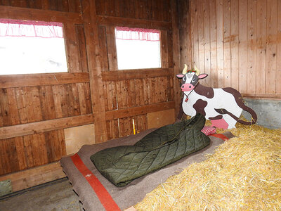 Box 1 ausgefallene Übernachtung im Stroh mit der Familie in der Nähe des Bodensees