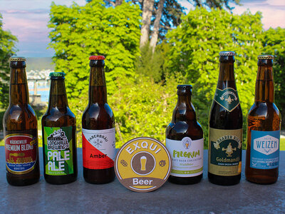 Coffret 3 livraisons à domicile de 3 bières artisanales