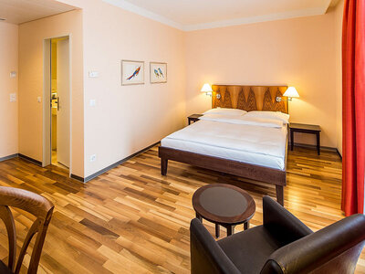 Fuga di 2 notti in un hotel 3* a Basilea